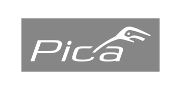 Pica